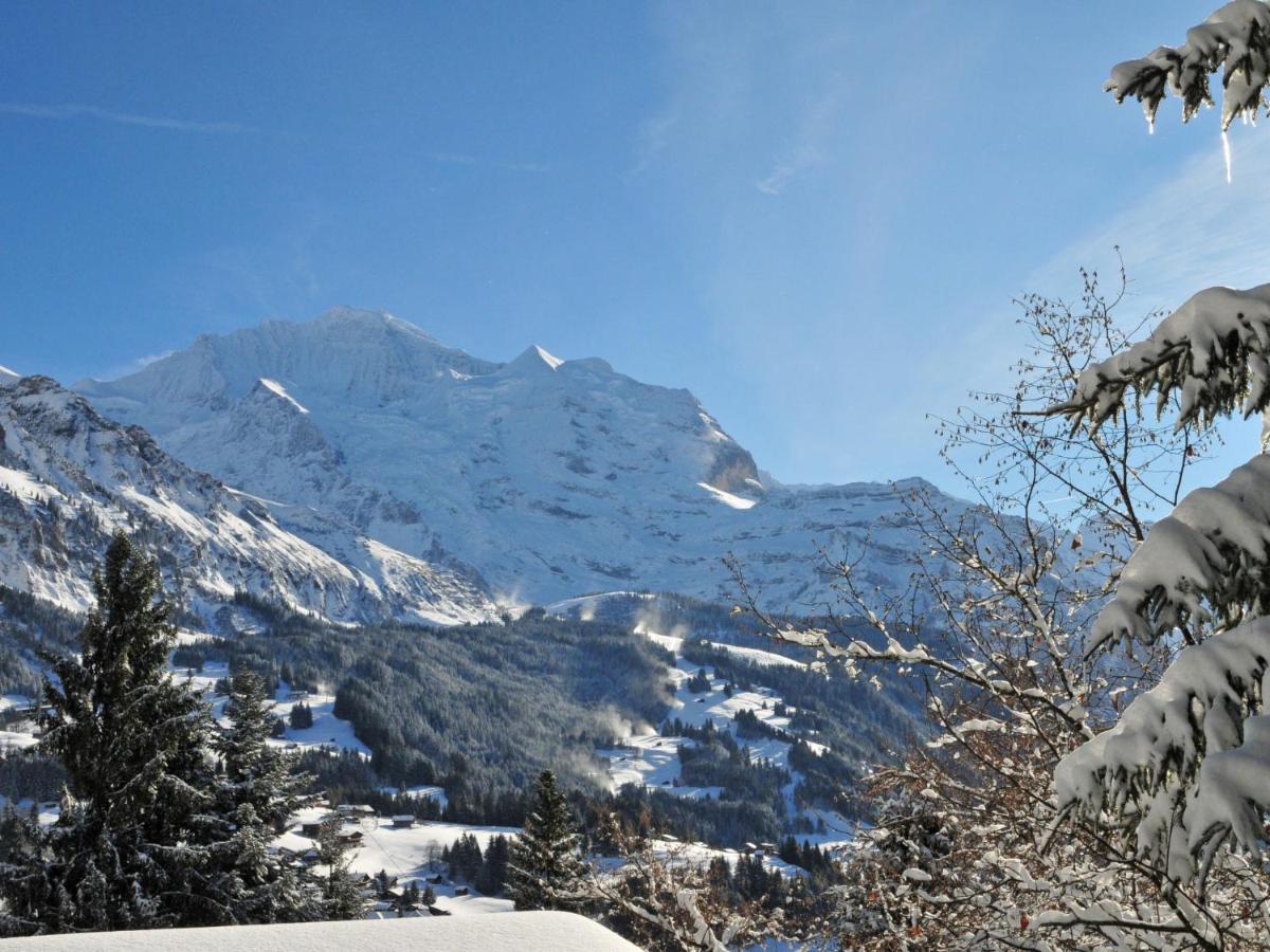 Apartment Breithorn-Residence-3 Wengen Exterior foto